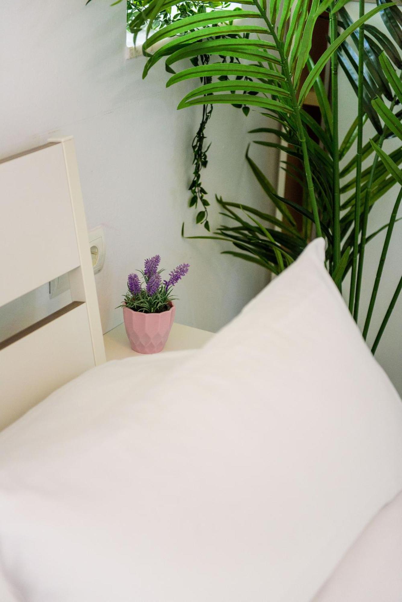 Livingtarifa Apartamento Bianco エクステリア 写真