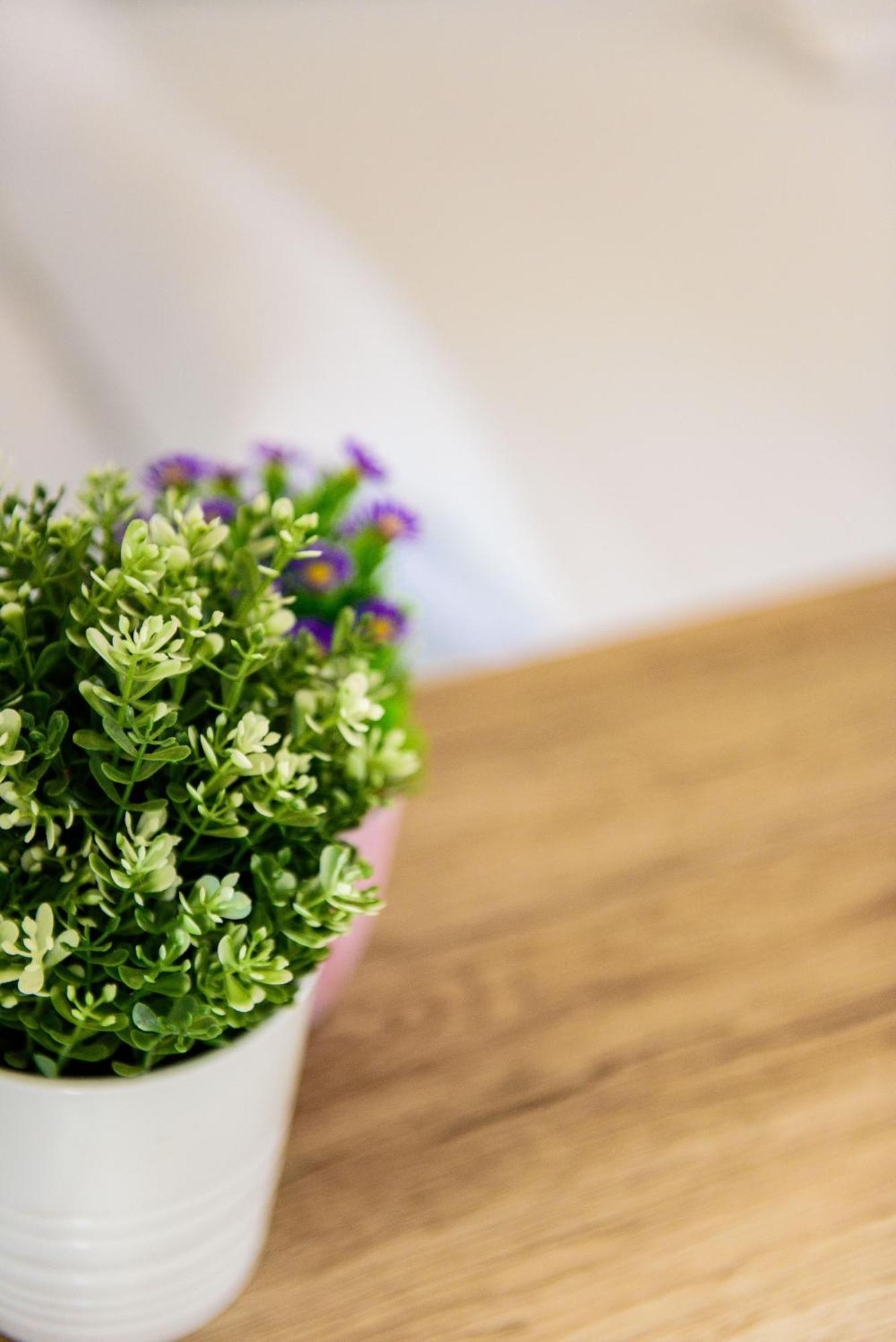 Livingtarifa Apartamento Bianco エクステリア 写真